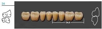 Kaifeng - зубы акриловые, нижние жевательные, цвет A3, размер 34L, коробка 12х8 шт - фото 2