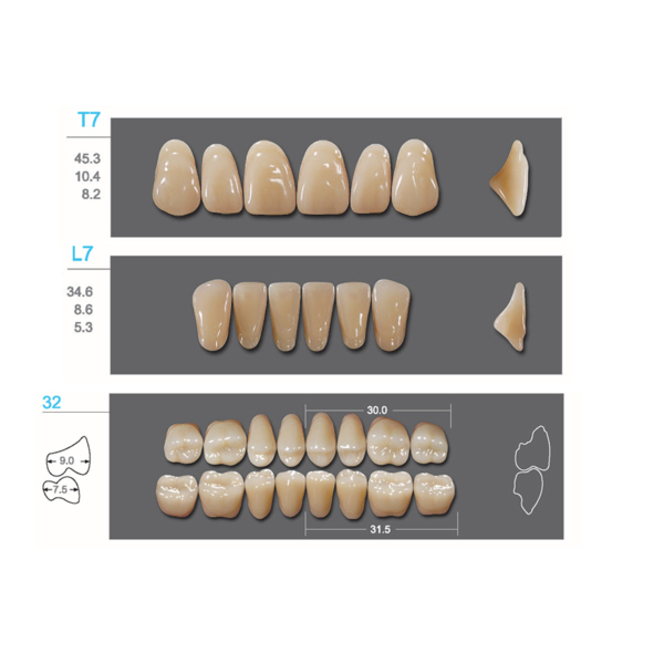 Kaifeng - зубы акриловые, верхние T7, цвет B3, коробка 4х28 шт - фото 0