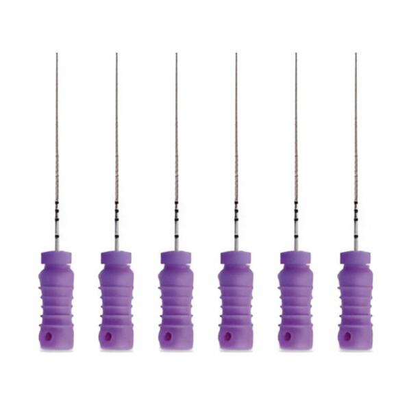 Файлы ручные Geosoft EndoLine H-FILE, для прохождения и для расширения корневых каналов, 25 мм, №10, сталь, 6 шт - фото 0