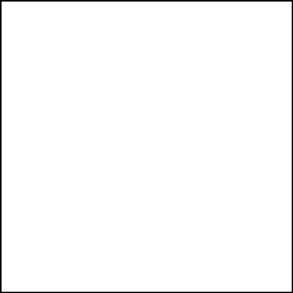 Брюки мужские Dickies DK015, белый, M - фото 5