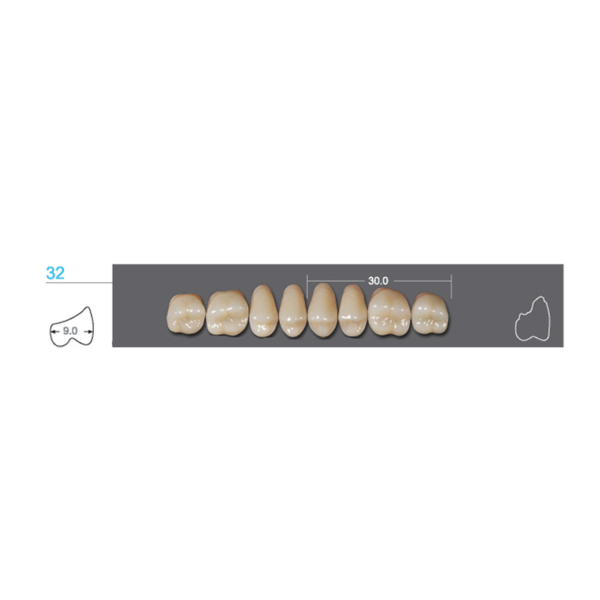 Kaifeng - зубы акриловые 8*1/ A2, 32U (1 планка) - фото 0