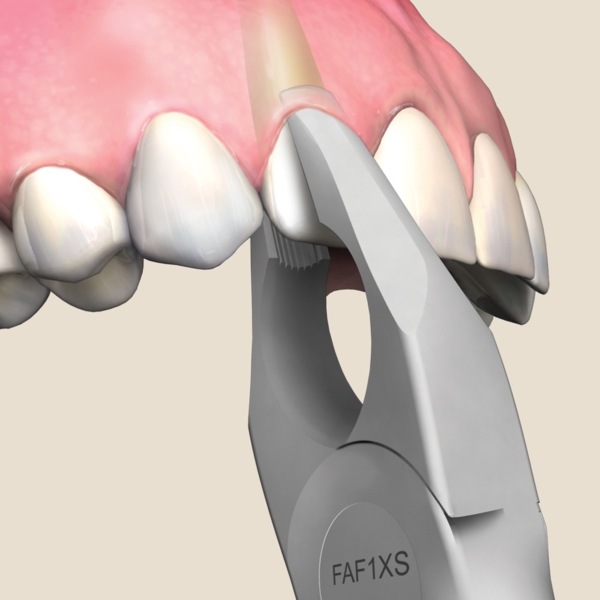 Щипцы #1 Atraumair Apical, для удаления, атравматичные, апикальные, верхние резцы - фото 2