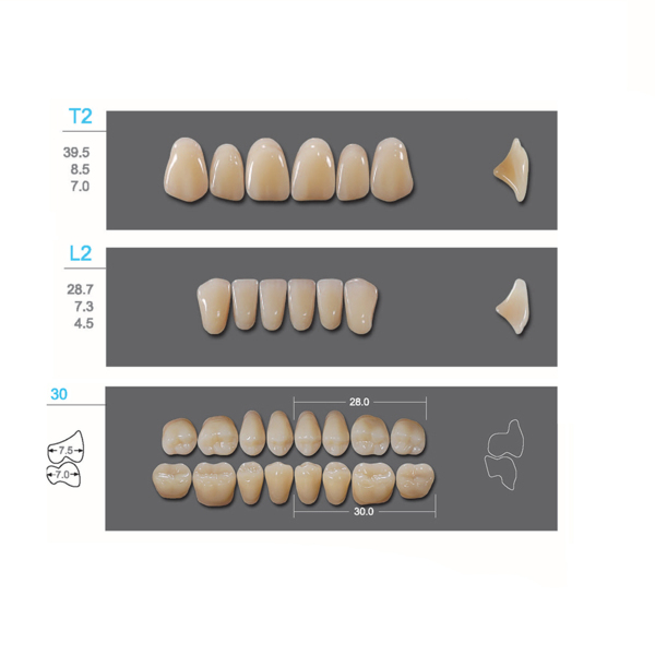 Kaili - зубы акриловые, верхние T2/нижние L2, цвет A3, размер 30, коробка 4х28 шт - фото 0