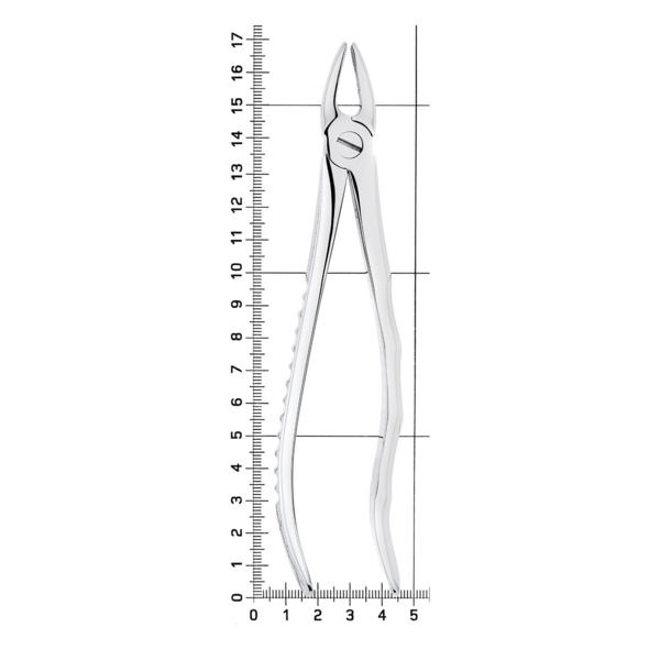 Щипцы для удаления зубов, верхние, резцы/клыки, прямые, анатомические - фото 8
