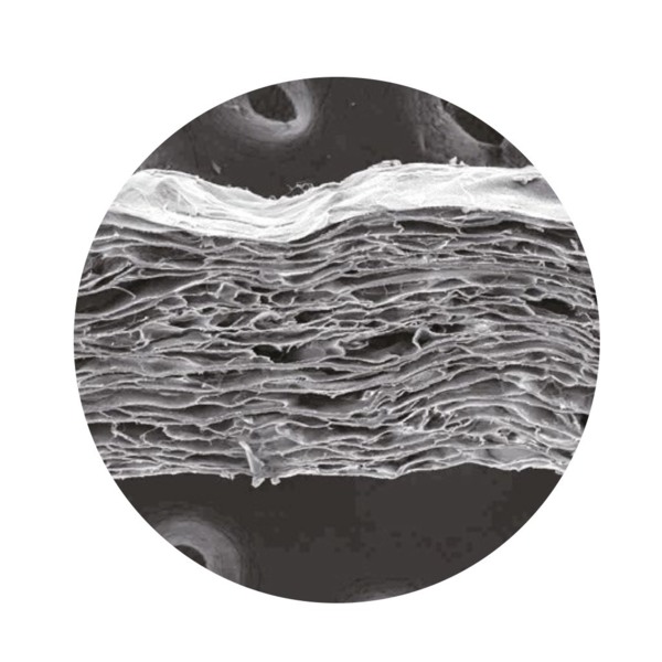 Мембрана коллагеновая OSSTEM OSSMem, резорбируемая, для направленной костной регенерации, мягкая, 15х20 мм, 1 шт - фото 1