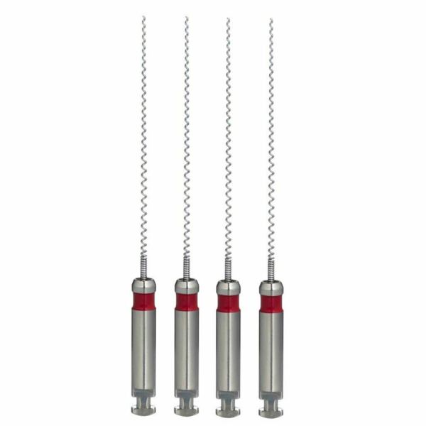 Каналонаполнитель машинный Eurofile Paste Carriers, для заполнения корневого канала, 21 мм, №25, сталь, красный, 4 шт - фото 0