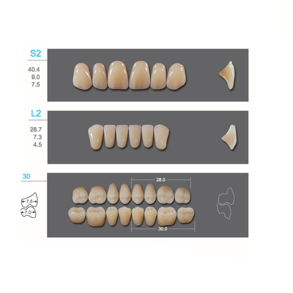 Kaili - зубы акриловые, верхние S2/нижние L2, цвет B3, размер 30, коробка 4х28 шт - фото 0