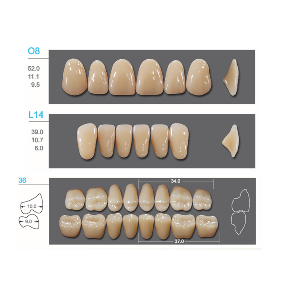 Kaifeng - зубы акриловые, верхние O8, овальные, цвет A3, коробка 4х28 шт - фото 0