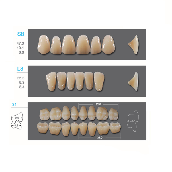 Kaili - зубы акриловые, верхние S8/нижние L8, цвет A1, размер 34, коробка 4х28 шт - фото 0