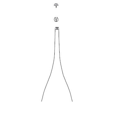 Пинцет хирургический Aesculap Adson BD511R, прямой, зубчики 1х2, 120 мм - фото 1