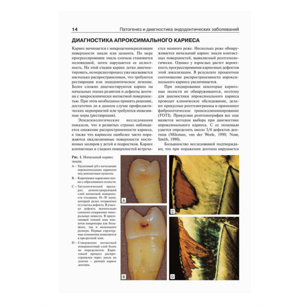 Эндодонтология, Бер Р., Бауманн М., Ким С. - фото 1