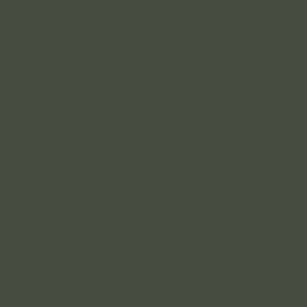 Брюки женские Dickies DK005, зеленый, XL - фото 5