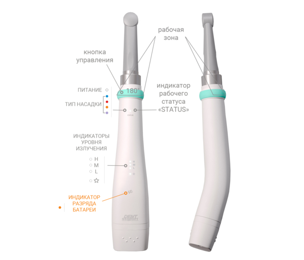 ESTUS LIGHT Plus — фотополимеризатор со световодом «FULL-BLUE», 400-475 нм, 2500 мВт/cм2, для полимеризации композитов, полный комплект - фото 3