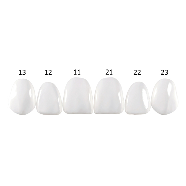 Componeer Set upper - гарнитур виниров для верхней челюсти (11, 12, 13, 21, 22, 23), размер M, цвет Enamel Universal, 6 шт - фото 0