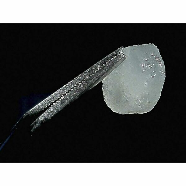 3D-матрикс коллагеновый Cardioplant FibroMATRIX, резорбируемый, для регенерации мягких тканей, 30х40 мм, 1 шт - фото 5