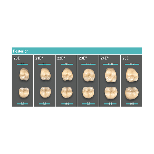 Зубы VITA PHYSIODENS classical A3/22E, жевательные из MRP композита нижние 22E, 1 гарнитур/6шт - фото 0