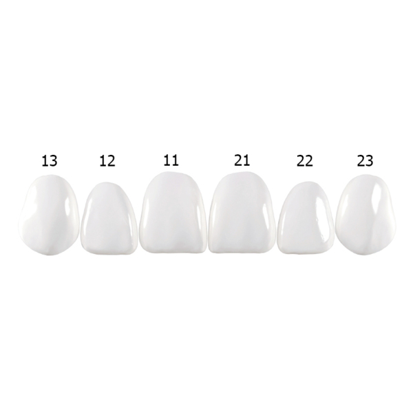 Componeer Set upper - гарнитур виниров для верхней челюсти (11, 12, 13, 21, 22, 23), размер XL, цвет BL/O (Dentin Bleach Opaque), 6 шт - фото 0