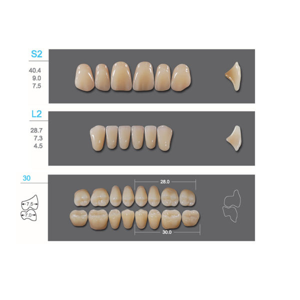 Kaifeng - зубы акриловые, верхние S2, цвет A1, коробка 4х28 шт - фото 0