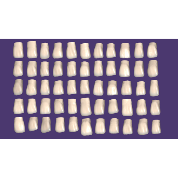 Exocad Modul Tooth Library ZRS - фото 2