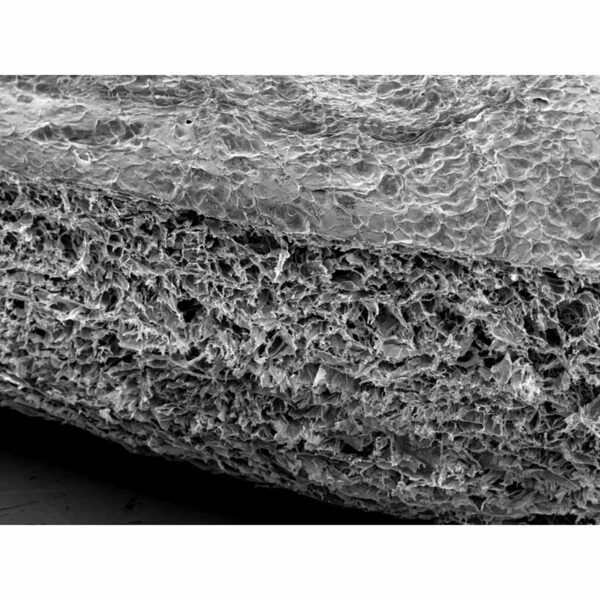 3D-матрикс коллагеновый Cardioplant FibroMATRIX, резорбируемый, для регенерации мягких тканей, 20х15 мм, 1 шт - фото 1