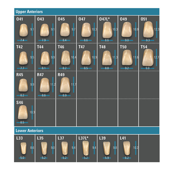 Зубы VITAPAN PLUS classical A1 – D4, фронтальные (цвет и форма на выбор), 1 шт - фото 0