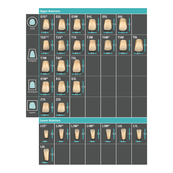 Зубы VITA PHYSIODENS classical A3/L2M, фронтальные из MRP композита нижние L2M, 1 гарнитур/6 зубов - фото 0