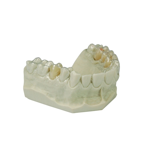 Пластины для временных коронок Dreve DRUFOLEN-H, 0.6х120 мм, жестко-эластичные, натуральные, 40 шт - фото 0