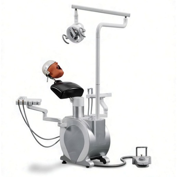 Стоматологический фантом Cingol T-MasterCingol, для демонстрации при обучении стоматологов - фото 0