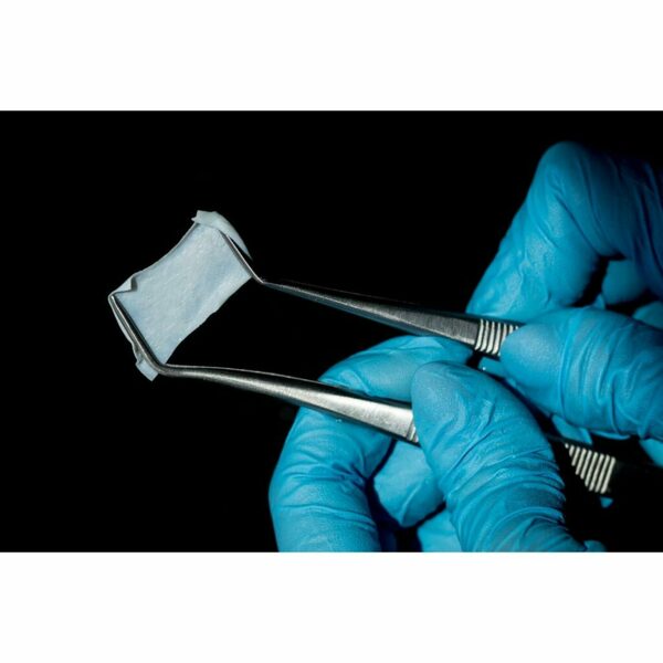 Мембрана коллагеновая Cardioplant bioPLATE Contur, резорбируемая, двухслойная, для костной и тканевой регенерации, 30х40 мм, 1 шт - фото 1