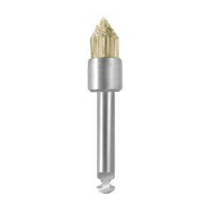 Насадка EVE BRUSH WS1, 10 шт - фото 0