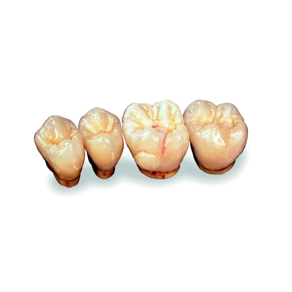 Набор моделировочного воска Real Art, бежевый, 2х8 г - фото 0