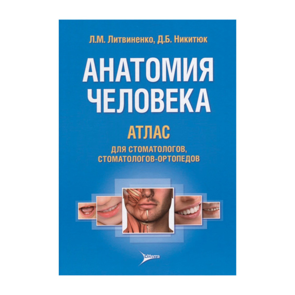Анатомия человека. Атлас для стоматологов и стоматологов-ортопедов, Л.М. Литвиненко, Д.Б. Никитюк - фото 0
