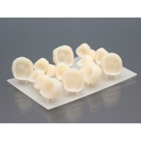 3D материал Detax Freeprint temp 385, биосовместимый, цвет А1, 0,5 кг - фото 4