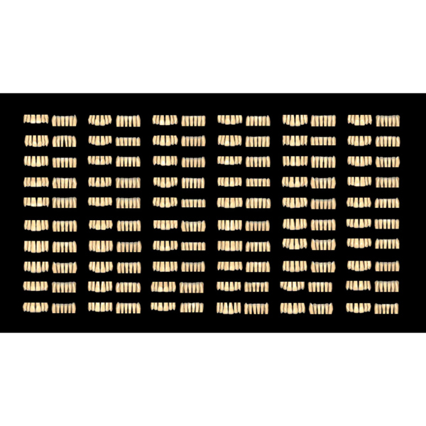 Exocad Modul Tooth Library ZRS - фото 7