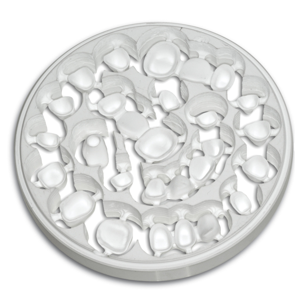 Фрезерный диск Zirkon BioStar HT Smile, для систем CAD-CAM, белый, высокая прозрачность, с подставкой, 98,5х14 мм - фото 0