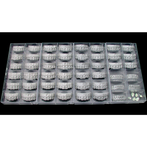 Exocad Modul Tooth Library ZRS - фото 4