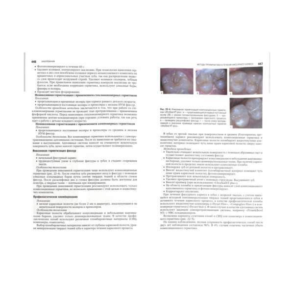 Национальное руководство. Детская терапевтическая стоматология, В. К. Леонтьева, Л. П. Кисельниковой - фото 1