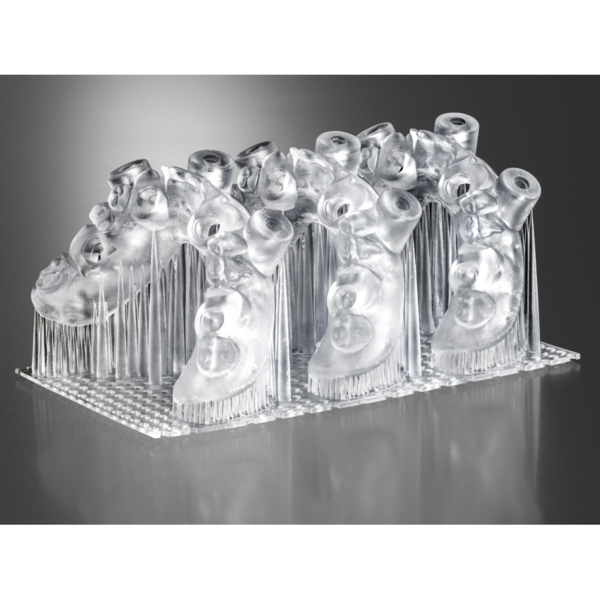 3D материал Detax Freeprint ortho 385, для моделирования, прозрачный, 1 кг - фото 3
