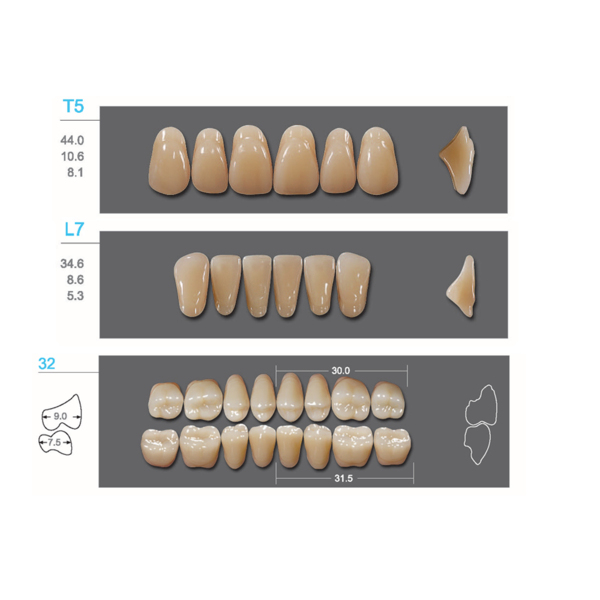 Kaifeng - зубы акриловые, верхние T5, цвет D3, коробка 4х28 шт - фото 0