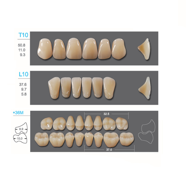 Kaili - зубы акриловые, верхние T10/нижние L10, цвет A2, размер *36M, коробка 4х28 шт - фото 0