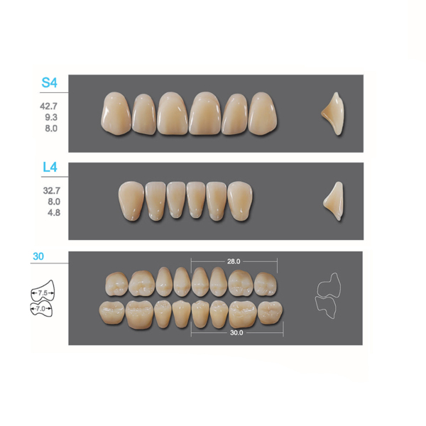 Kaili - зубы акриловые, верхние S4/нижние L4, цвет A3.5, размер 30, коробка 4х28 шт - фото 0