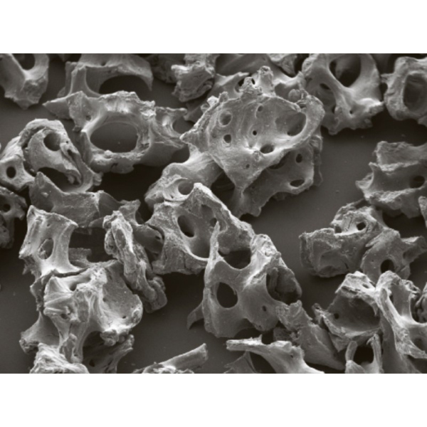 XENOGRAFT Collagen - гранулы губчатые с коллагеном (80% губчатый слой, 20% кортикальный), 0,25-1,0 мм, 3,0 сс - фото 2
