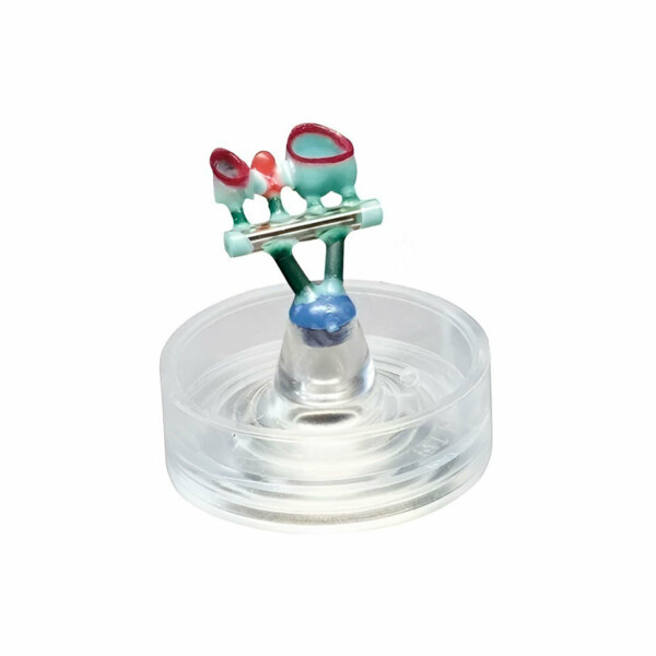 Rapid Ringless System: Casting ring and base - система муфелей, силиконовые кольцо и основа, размер 6, диаметр 72 мм - фото 1