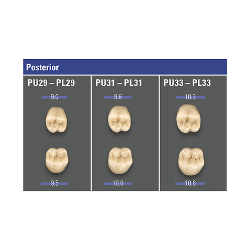 VITA MFT 3D-MASTER - базовые жевательные зубы из полимерного материала (цвет и форма на выбор), 1 шт - фото 0