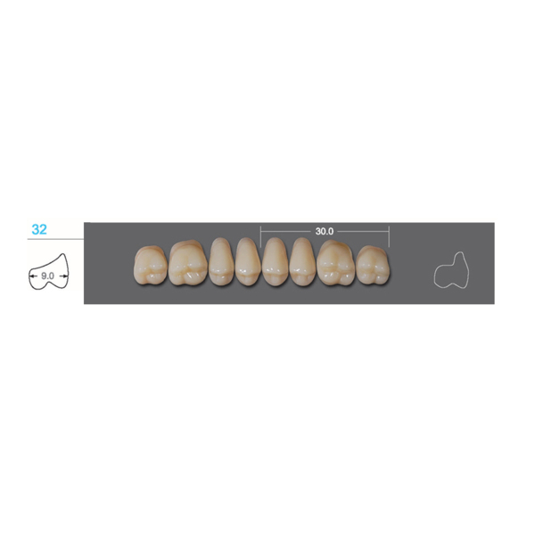 Kaili - зубы акриловые, верхние жевательные, цвет D4, размер 32U, коробка 12х8 шт - фото 0