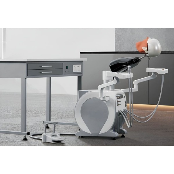 Стоматологический фантом Cingol T-MasterCingol, для демонстрации при обучении стоматологов - фото 3