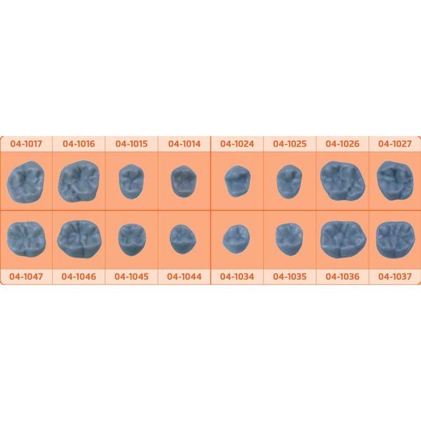 Refillpack Flexiform - окклюзионная форма, зуб 47 - фото 1