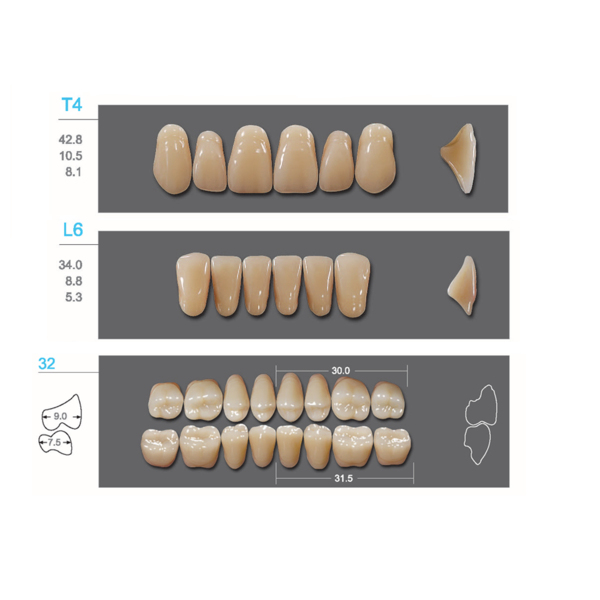 Kaifeng - зубы акриловые, верхние T4, цвет C4, коробка 4х28 шт - фото 0