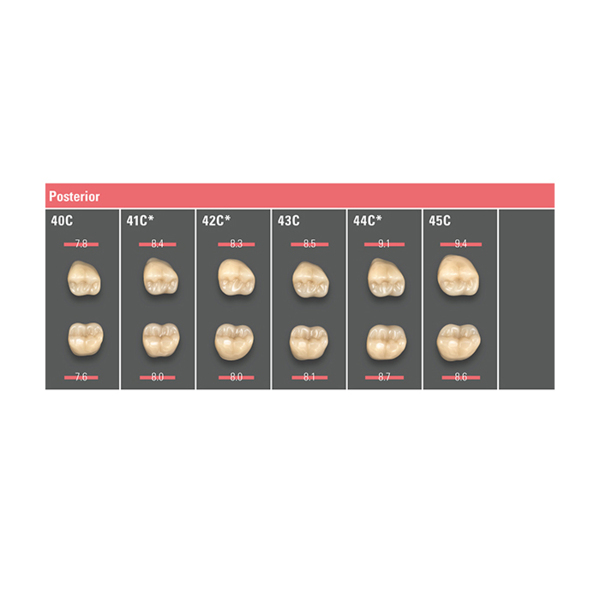 Зубы VITAPAN CUSPIFORM classical A1 – D4, жевательные (цвет и форма на выбор), 1 гарнитур/6 зубов - фото 0