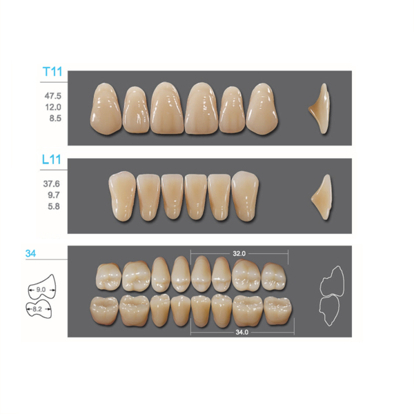 Kaifeng - зубы акриловые, верхние T11, цвет B2, коробка 4х28 шт - фото 0